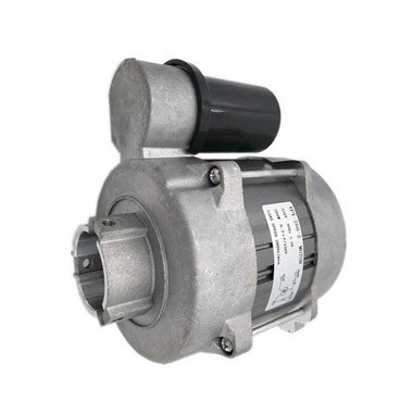 2025 Top 10 Gas Heater Motor Suppliers in the world